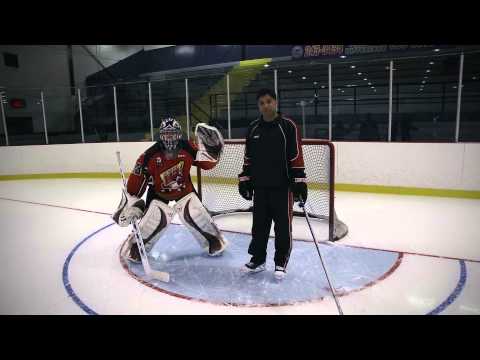 Skill 19 - Basic stance & Glove position