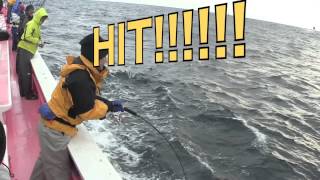 進誠丸 大原 の釣り物やアクセスの情報