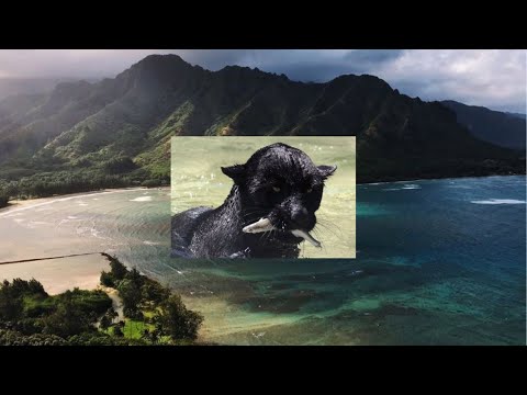 arthur verocai, azymuth - dona das meninas