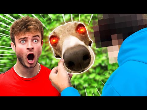 VESHREMY FACE REVEAL!