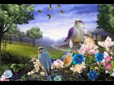 Canto do Passarinho - hinário Luz de Cristal