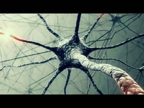 TuneTravel | Psytrance/Psychedelic Rock #35