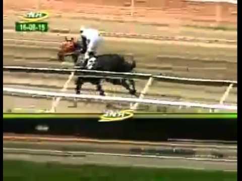 LA RINCONADA 7 CARRERA, DOMINGO 16 DE AGOSTO DEL 2015