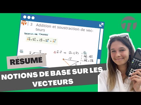 Basic concepts about vectors