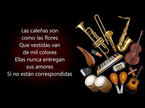 Las Caleñas Son Como Las Flores The Latin Brothers Letra