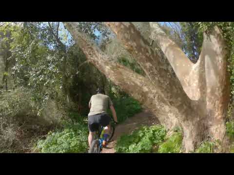 Mallorca 2023 Tag 4 - Regeneration mit dem E-MTB