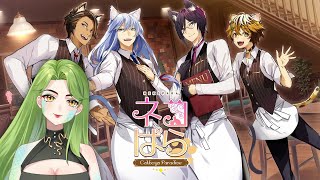 Your Catboy Dreams Have Come True | Nekopara Catboys Paradise