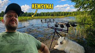 Žvejoju Karpius Kemsyne... Kaip Ištraukti Žuvį???