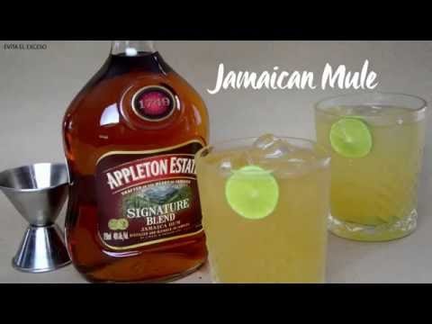Jamaican mule
