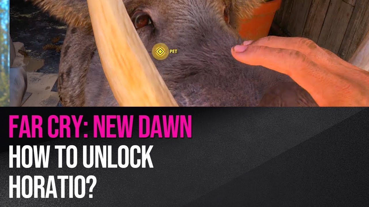 Far Cry New Dawn - How to unlock Horatio?