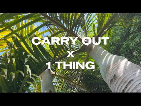 “Carry Out” x “1 Thing”