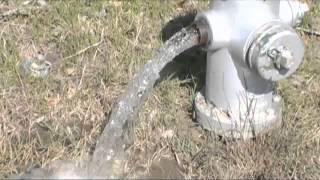 Waste Watch: Is Beaumont wasting water?
