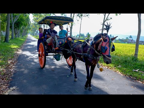 Keysha, Sheena, & Cobil Ride a Special Horse-Drawn Carriage