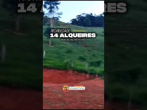 PROPRIEDADE 14 ALQUEIRES SANTO ANTÔNIO DO MUCURI-MG R$ 800 MIL #fazenda #pecuarista #minasgerais