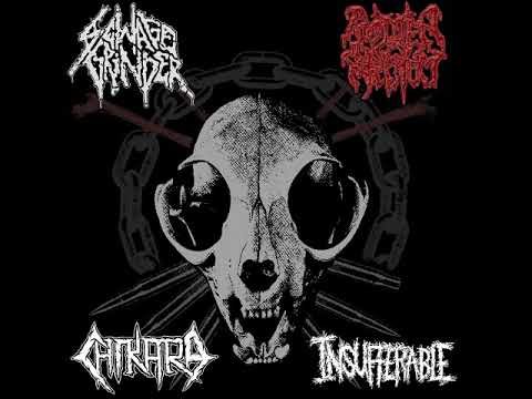 Sewage Grinder / Rotten Rectum / Chikara / Insufferable - Full Split [2018]