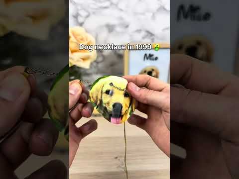 Wait for it 🤯🤩#pets #dogs #dogsoftiktok #dogloss #giftsideas