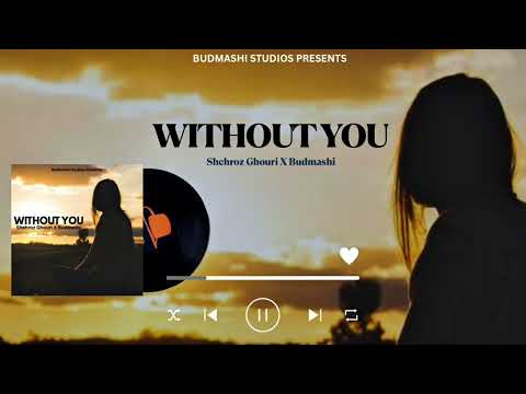 Without You (Visualizer)-- Shehroz Ghouri X Budmashi
