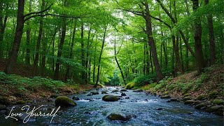 Музыка исцеляет сердце и разум🌿 Звуки природы помогают снять стресс и улучшить сон
