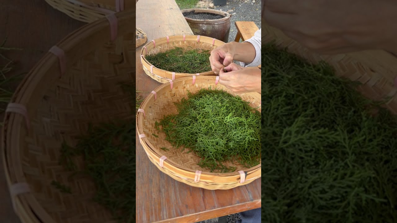 Xu processing aromatic materials