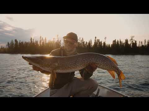 Monster Northern Pike Fishing at Munroe Lake Lodge! ( Lake Trout, Walleye & Arctic Grayling Too )
