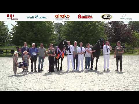 Fokdag | Het Friesche Paard Zuid-Nederland | 29 juni 2024