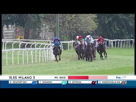 Premio Elena E Sergio Cumani