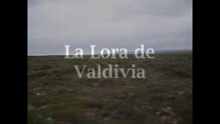 preview picture of video 'La Lora de Valdivia (Palencia)'