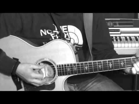 Dave Martinez - The Blowers Daughter (acoustic cover)