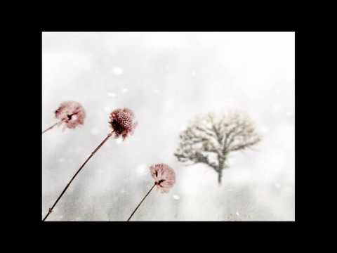 Lines Written in Winter - Fionn Regan