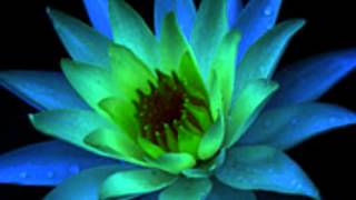 McFadden &amp; Whitehead - Why Oh Why