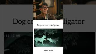 Download lagu langsung login mp3