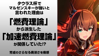 【ウマ娘】「燃費理論」から派生した「加速燃費理論」を解説 します
