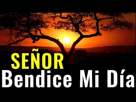 Oración De Cada Día ¦ Señor Bendice Mi Día ¦ #oraciondehoy #prayerday