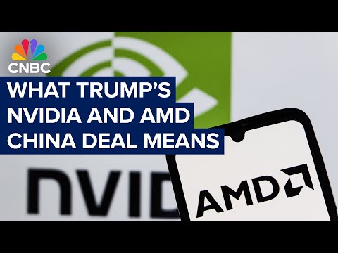 專家如何看待英偉達和 AMD 向美國政府支付中國人工智能芯片銷售額的 15%？ (What experts say about Nvidia and AMD paying the U.S. government 15% of China AI chip sales)