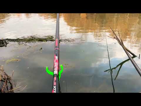 Pescuit la crap pe Olt (zavideni )