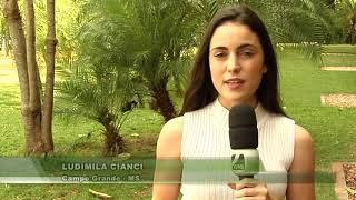 Miniatura do vídeo