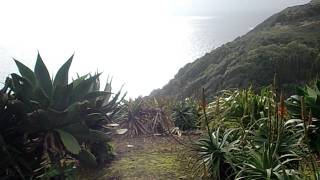 preview picture of video 'Walking to Praia Formosa, santa maria, island, azores November 6 2011: 2 dogs join me'