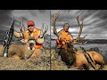 Two for One! Elk hunting and deer hunting in Montana
