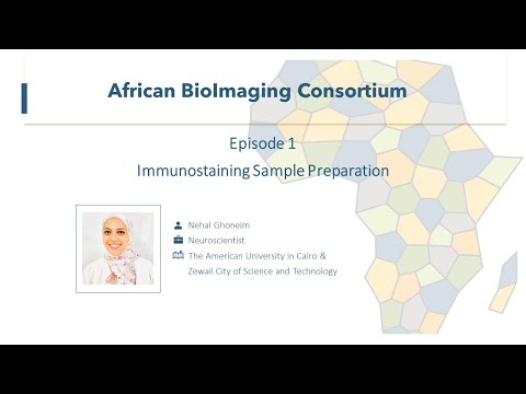 Science from the Diaspora Seminar Series Episode 1: Immunostaining Sample Preparation