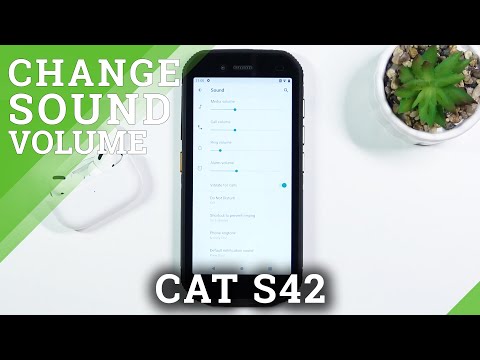 How to Change Ringtone Volume in CAT S42 – Adjust Ringtone Volume