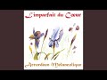 L'Imparfait du Coeur - accordion beauty
