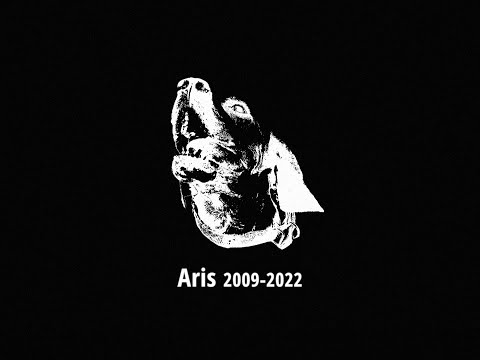 Aris — 2009 to 2022, Cyprus skateboarding video