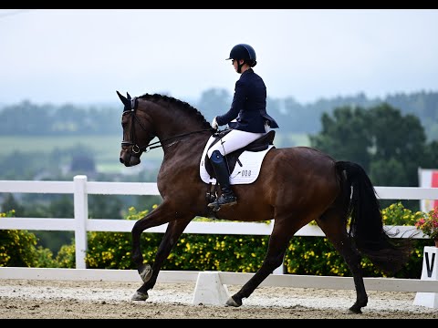 Esco Star DPA Kärnten August 2020