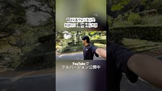 【4:30起床】仕事終わりはやる気出ないから朝やる！背中トレ＆散歩でカロリー爆燃焼させた日｜29歳社会人 自分磨きVlog#自分磨き #朝活 #vlog #愛媛県松山市 #fypシ