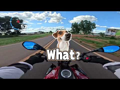 Salve ontem Anápolis GO hoje são João da Paraúna GO é marcha 