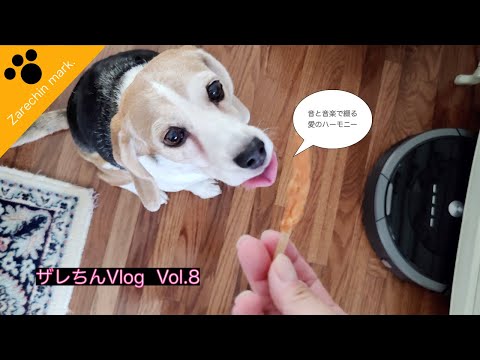 トイレから出るのを待つ健気なザレちん。そのあとに見返りを要求！