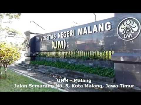 Berbahaya daripada suplemen diet untuk potensi Molibdenum dan impotensi