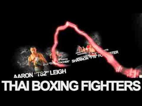 Evoultion Fight Series