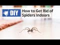 How to Get Rid of Spiders Indoors | DoMyOwn.com