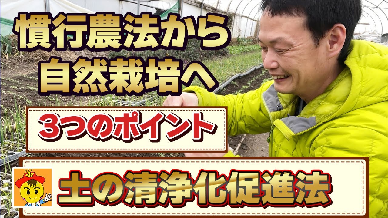 草負けを防ぐ苗作りと土の肥毒浄化法